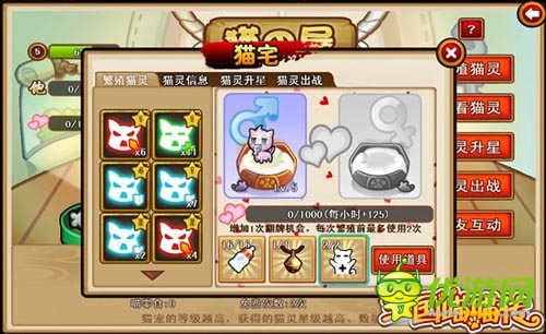 混亂的鬧貓季 《三國喵喵傳》貓寵暴動