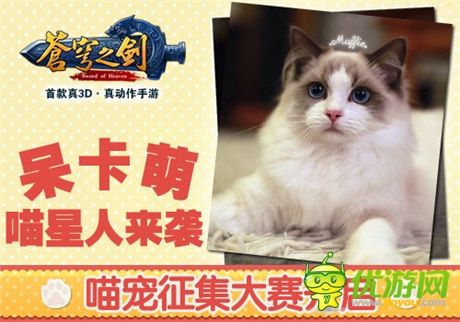 喵星人來(lái)襲 「蒼穹之劍3D」喵寵征集大賽開(kāi)啟