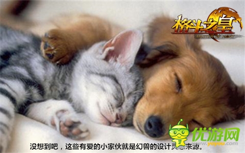 從無到有 力超拳皇 制作人談《格斗之皇》