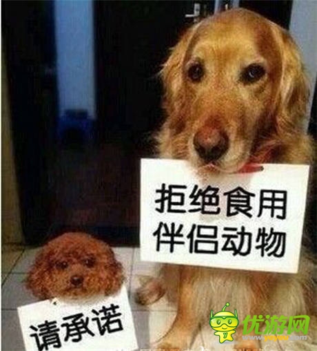 狗肉節(jié) 《石器聯(lián)萌》教狗狗如何安身立命