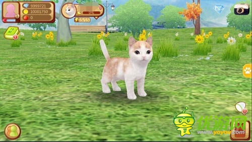 小貓萌萌噠 LONFUN新作《心動小貓》曝光