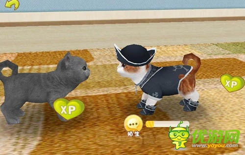 小貓萌萌噠 LONFUN新作《心動小貓》曝光