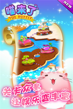 喵星人的賣萌生活《喵來了》有愛大揭秘