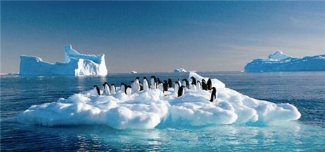 蘋果SB嗎?1元特價(jià)區(qū)是否會(huì)打破App Store生態(tài)?